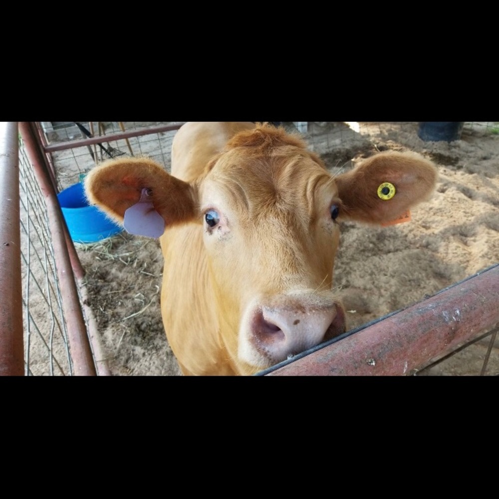 Meet your Posher, Megan